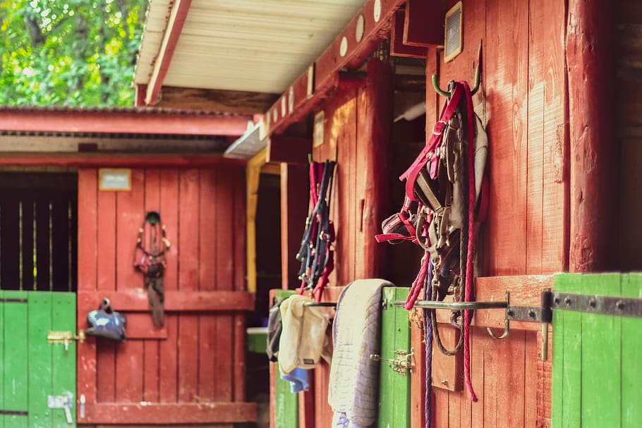 stable, box, red, green, horseback riding, architecture, built structure HD wallpaper
