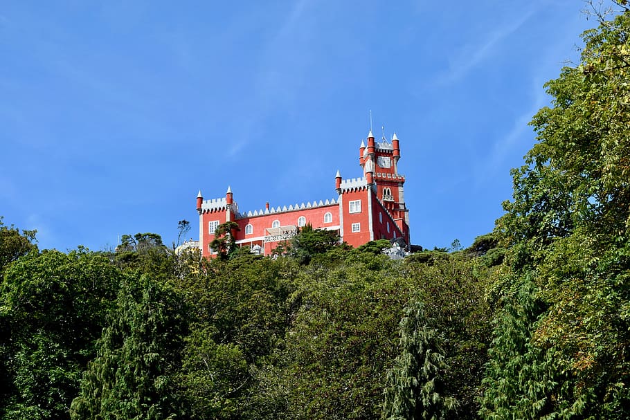 parque, nature, sintra, landscape, castle, lisbon, europe, portugal HD wallpaper