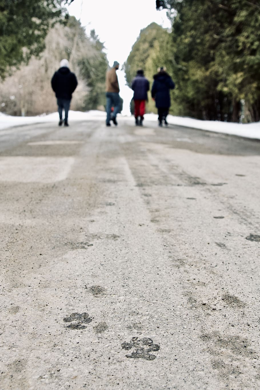 four persons walking on road, real people, the way forward, group of people HD wallpaper