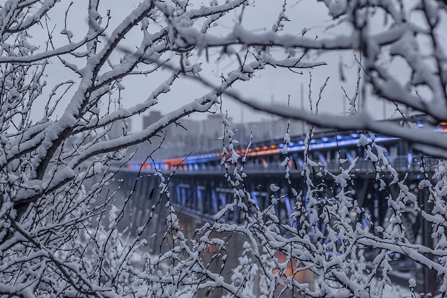 canada, edmonton, trees, bridge, light, moody, city, snow, blue HD wallpaper