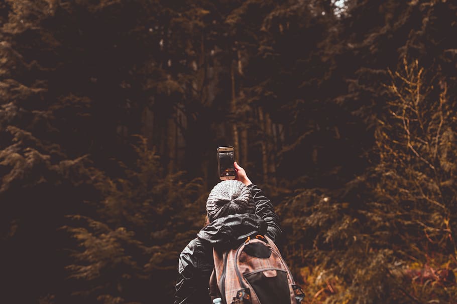 Person Standing in Front of Forest While Using Smartphone, after the rain HD wallpaper