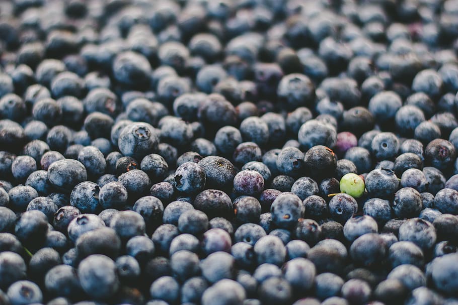 fruit, round, blueberries, green, violet, berry, food, harvest HD wallpaper