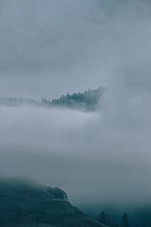 clouds covering trees, fog, united states, saddle mountain trailhead HD wallpaper