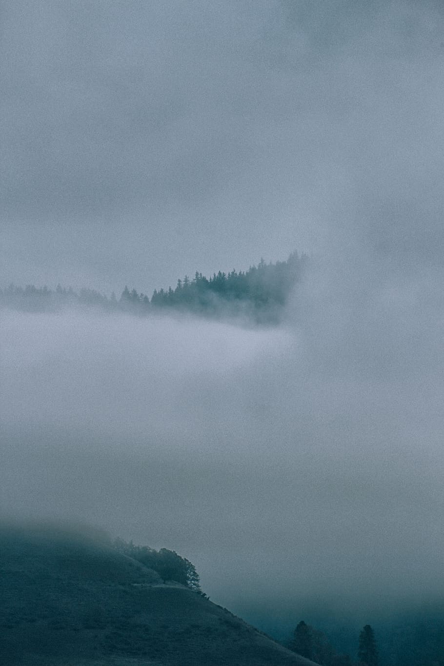 clouds covering trees, fog, united states, saddle mountain trailhead HD wallpaper