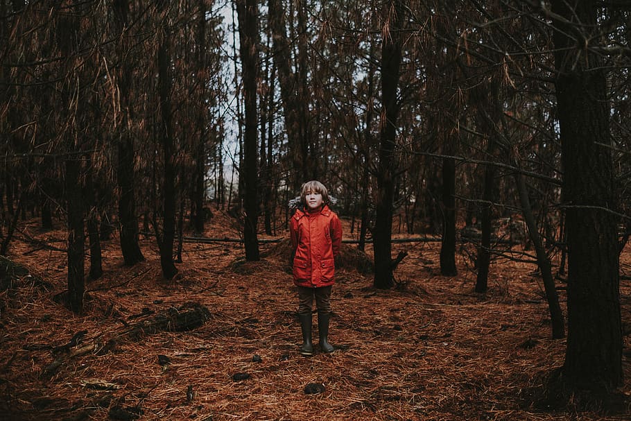 boy standing on forest, clothing, apparel, ground, human, person HD wallpaper