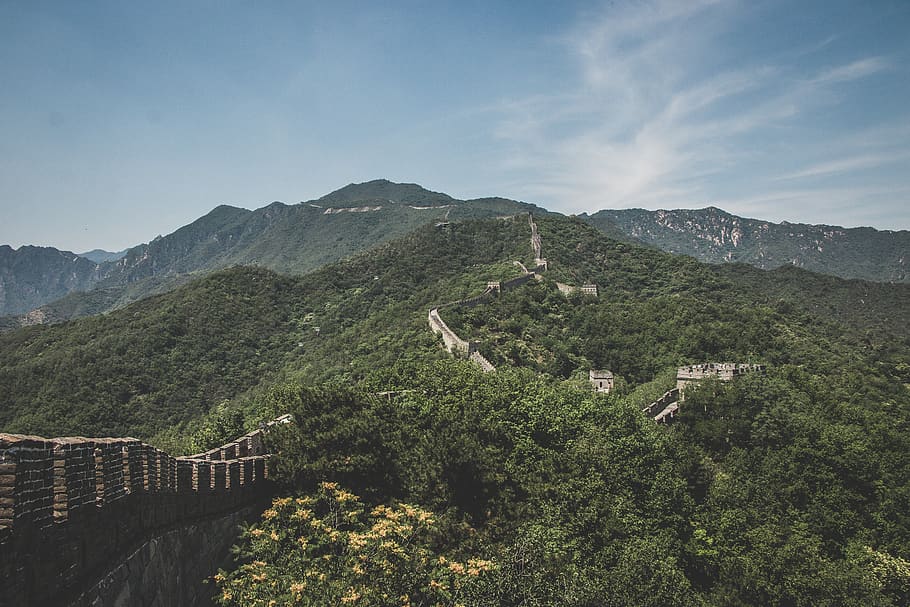 china, mutianyu great wall, the great wall, green, tress, forest, HD wallpaper