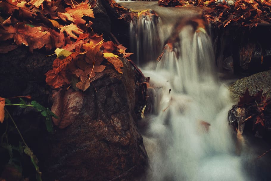Falls With Brown Leaves, beautiful, blur, cascade, daylight, environment HD wallpaper