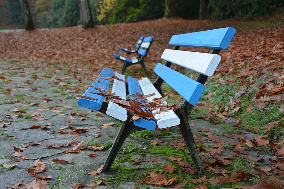 bench, fall, park, leaves, sit, blue, field, day, seat, absence HD wallpaper