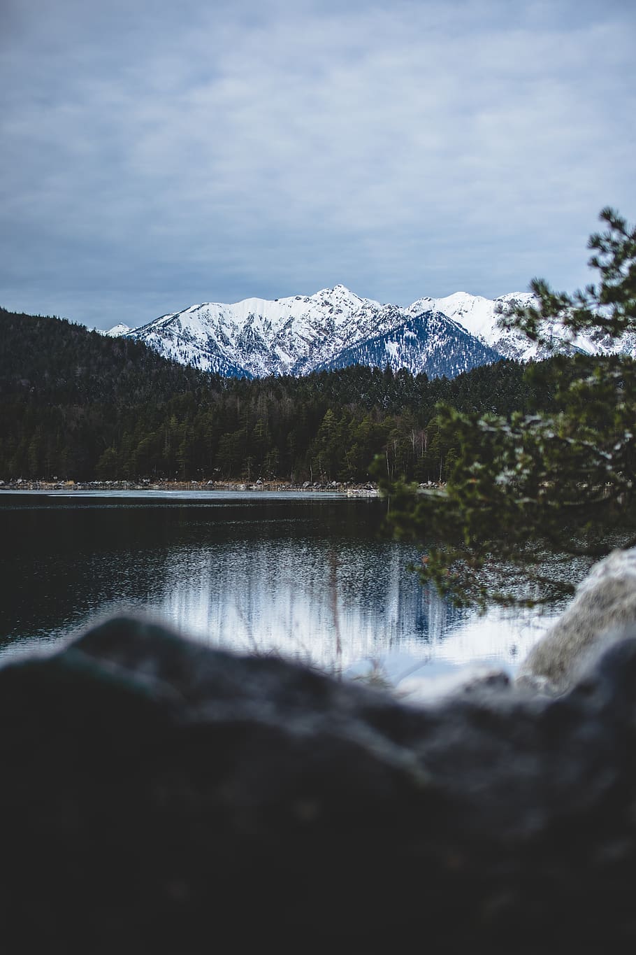 trees near snow mountian, water, mountain, beauty in nature, scenics - nature HD wallpaper