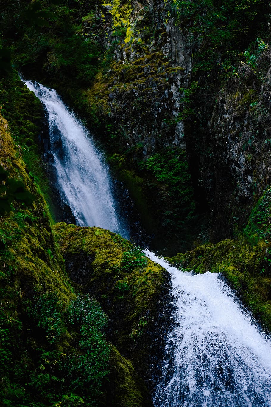 plants, waterfall, new, featured, green, nature, portrait, landscape HD wallpaper