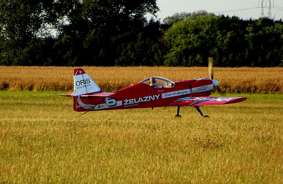 the plane, acrobatic, group, team, iron, plant, grass, tree HD wallpaper