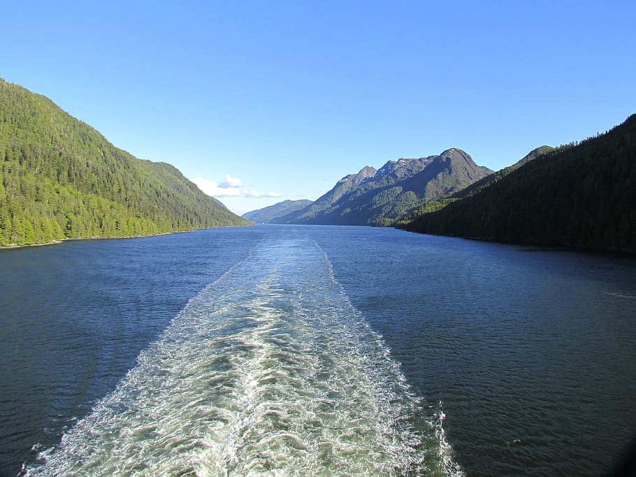 inner passage, alaska, forest, cruise, scenic, ship, water, HD wallpaper