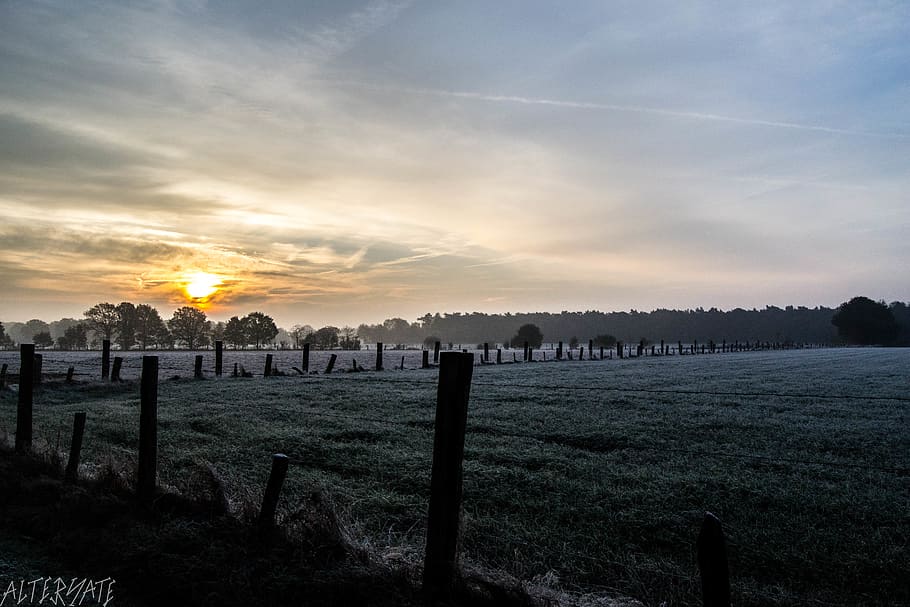 sunrise, fields, white, orange, air, trees, forest, belgium HD wallpaper