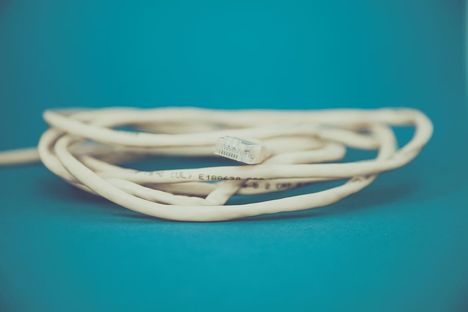 ethernet, cable, internet, technology, studio shot, colored background HD wallpaper