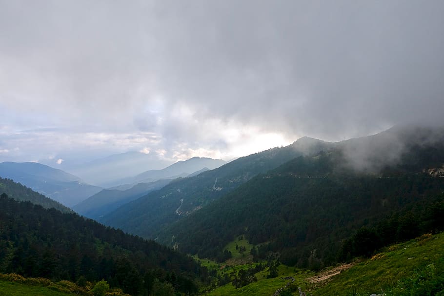 turkey, zigana pass, clouds, tree, scenery, fog, mountain, scenics - nature, HD wallpaper