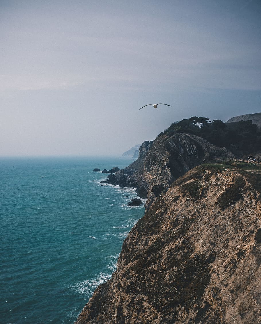 Aerial Photography of Beach Shore, bay, bird, cliff, daylight HD wallpaper