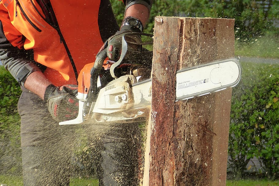Man Cutting Tress Using Chainsaw, action, adult, dust, equipment