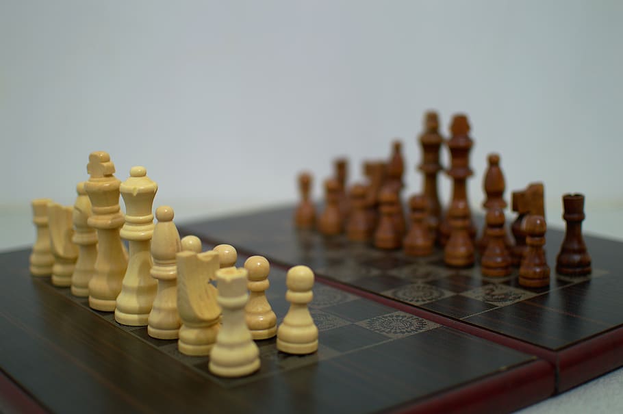 cheese, board, macro, leisure games, board game, chess, strategy HD wallpaper