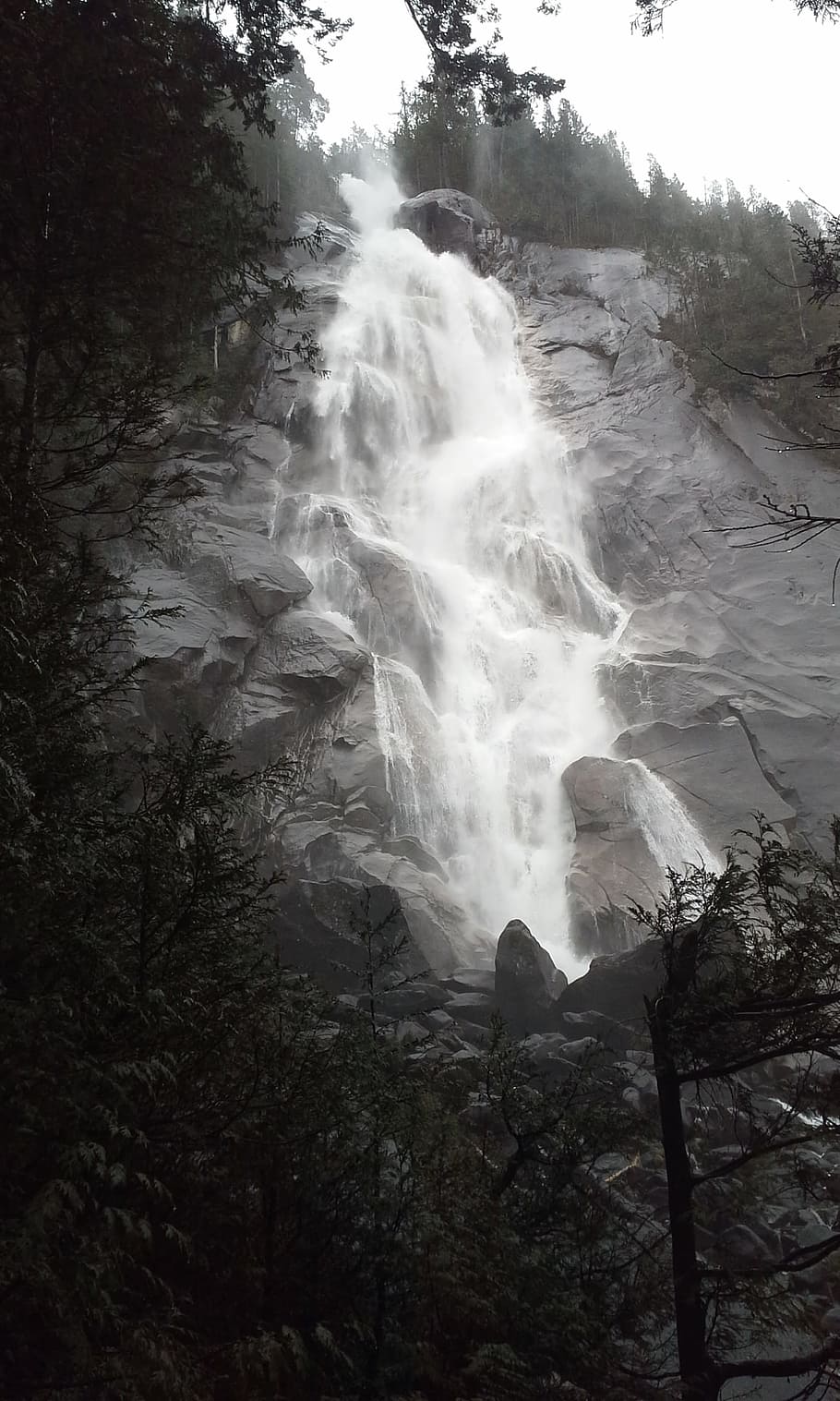 Photography of Nature Falls Near Forest, branches, idyllic, landscape HD wallpaper