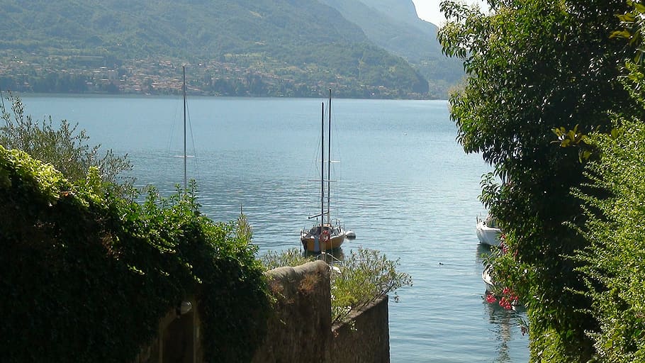 italy, bellagio, water, plant, tree, beauty in nature, day HD wallpaper