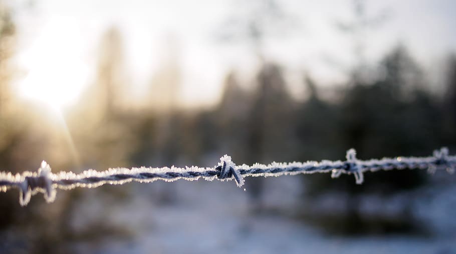 cold temperature, snow, winter, fence, barbed wire, boundary HD wallpaper