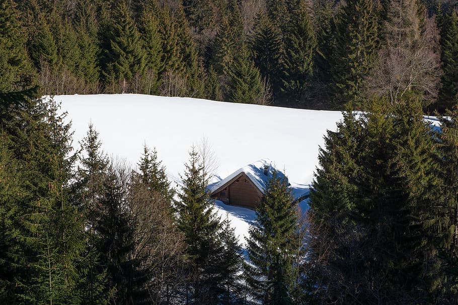winter, landscape, wintry, hut, forest, glade, snow, trees HD wallpaper