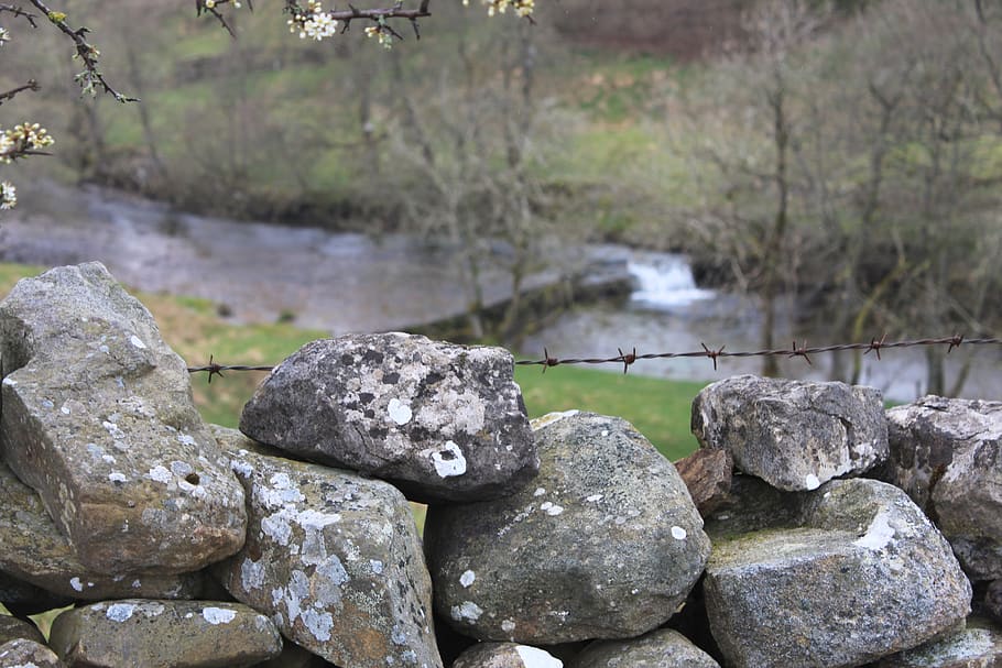 yorkshire, england, wall, nature, united kingdom, landscape HD wallpaper