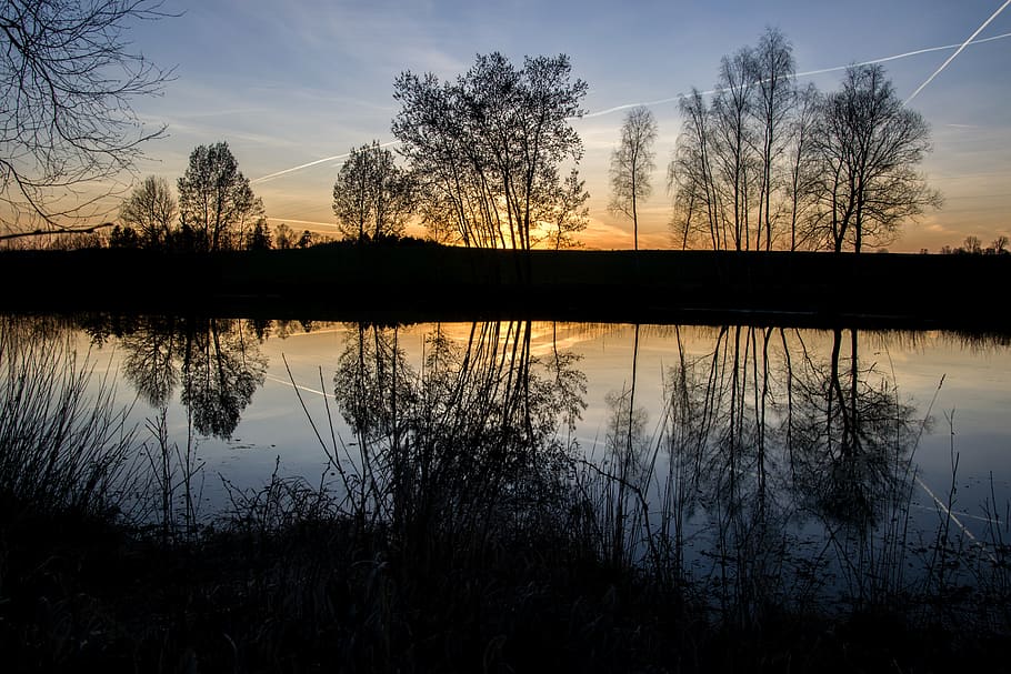 west, sun, tree, landscape, twilight, nature, evening, sky HD wallpaper