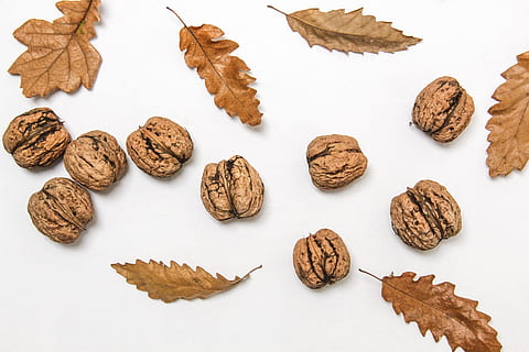 Walnuts and leaves, autumn, brown, leaf, white, white background HD wallpaper