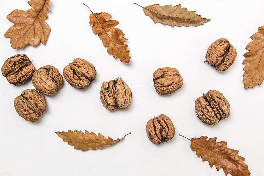 Walnuts and leaves, autumn, brown, leaf, white, white background HD wallpaper