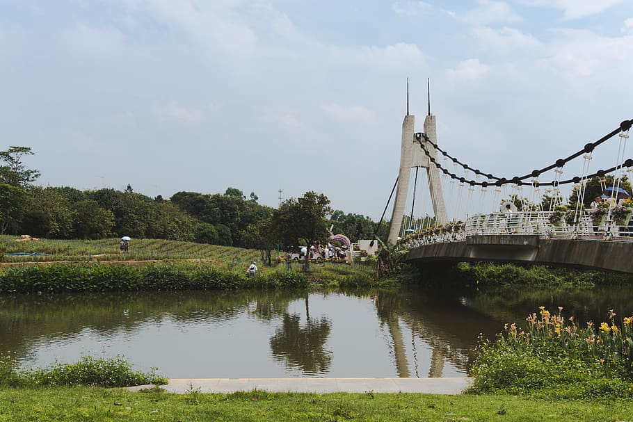 White Concrete Bridge on Body of Water Near Green Trees, architecture HD wallpaper