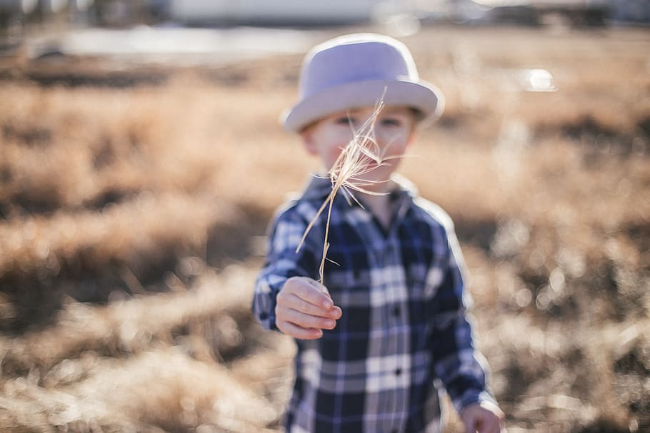 wilderness, field, grass, nature, young, holding, plaid, farm HD wallpaper