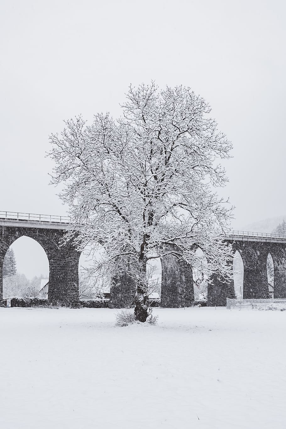 austria, snow, tree, empty, viaduct, bridge, nature, winter HD wallpaper