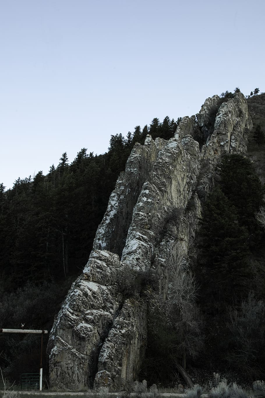 nature, tree, plant, abies, fir, outdoors, cliff, devils slide HD wallpaper