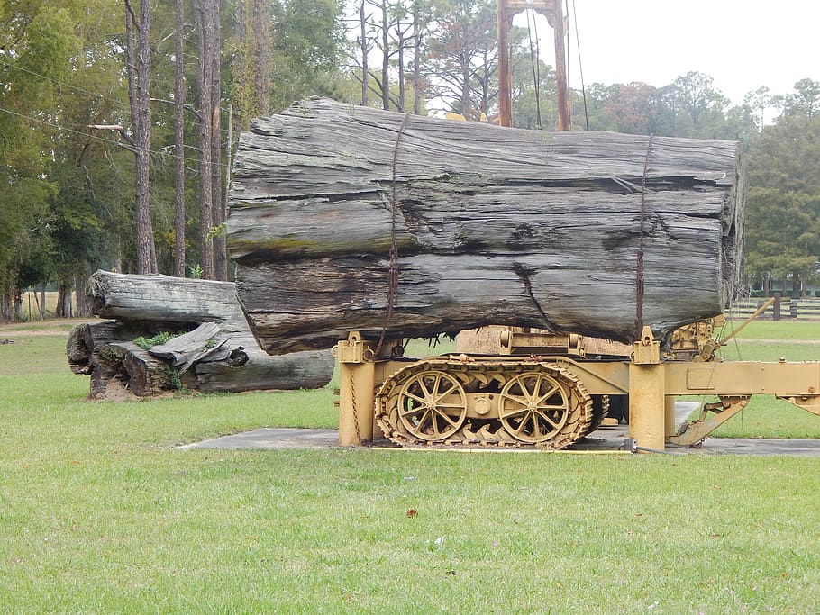 wood, plant, tree, machine, wheel, grass, lumber, tree trunk HD wallpaper