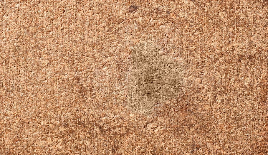 Hit the North Superwide Cork Wallpaper by Drew Millward  The Monkey Puzzle  Tree
