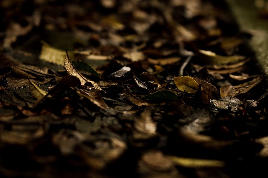 rain, weather, cold, explore, travel, photography, dark, nature HD wallpaper
