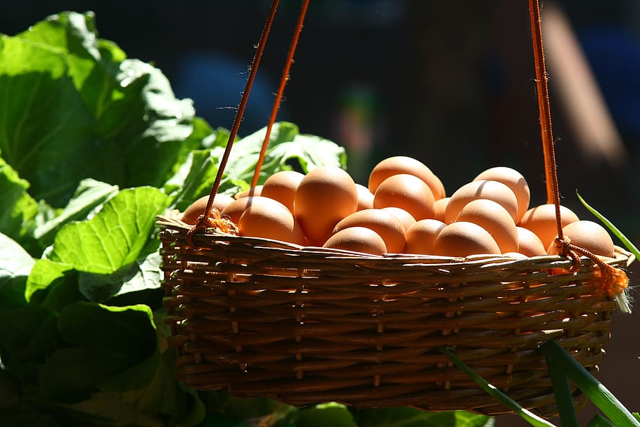 Basket Filled With Poultry Eggs, container, food, hanging, food and drink HD wallpaper