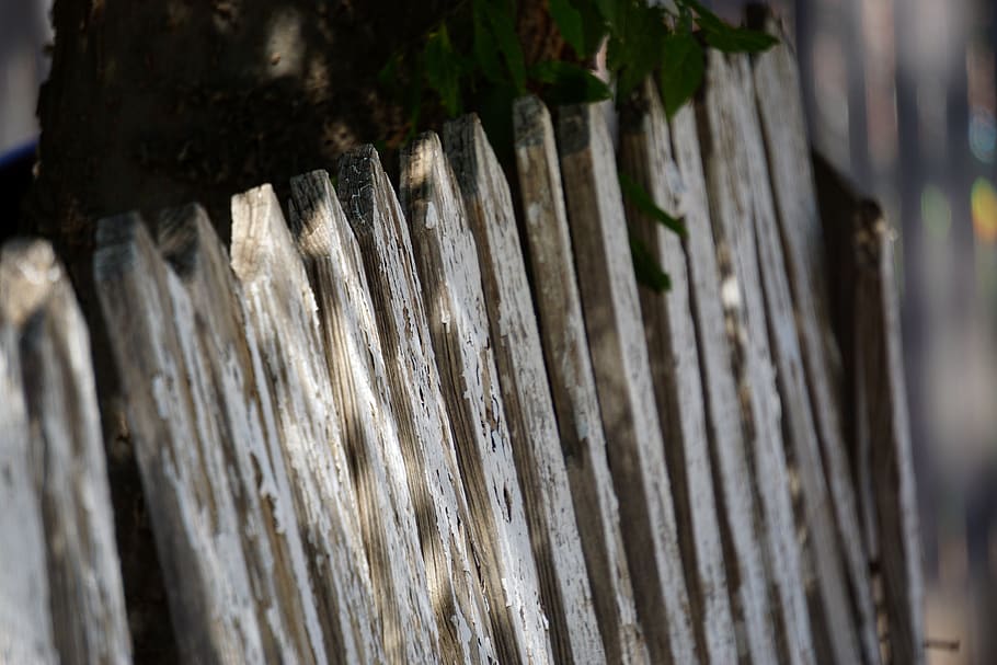 fence, peeling paint, delipidated, rustic, antique, wood, no people HD wallpaper