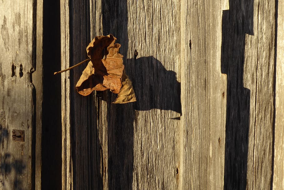 barn, dry, leaf, wood, old, brown, shadow, weathered, wood - material HD wallpaper
