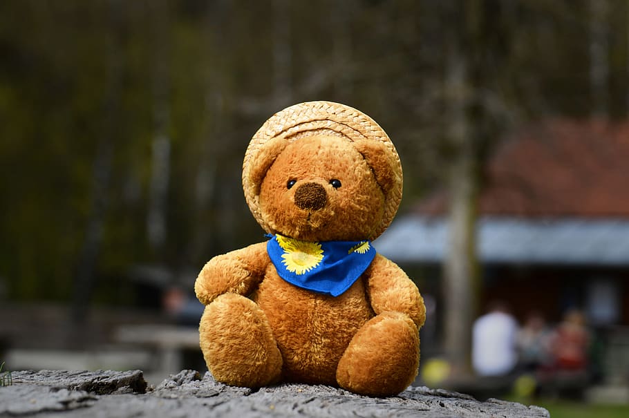 teddy, cute, soft toy, teddy bear, plush, stuffed animal, sweet, HD wallpaper