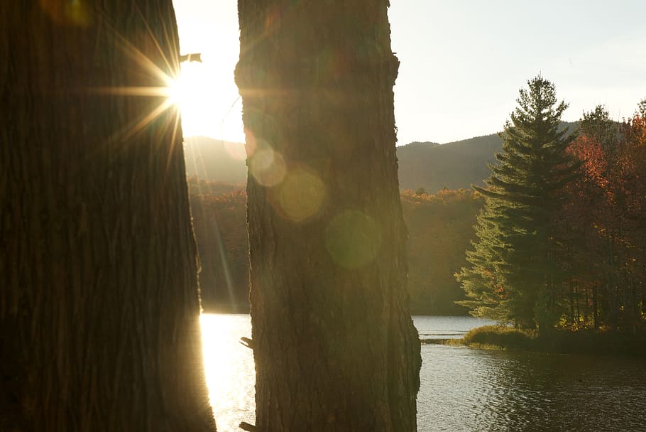 orford, canada, mountain, trees, forest, lake, quebec, sunlight HD wallpaper