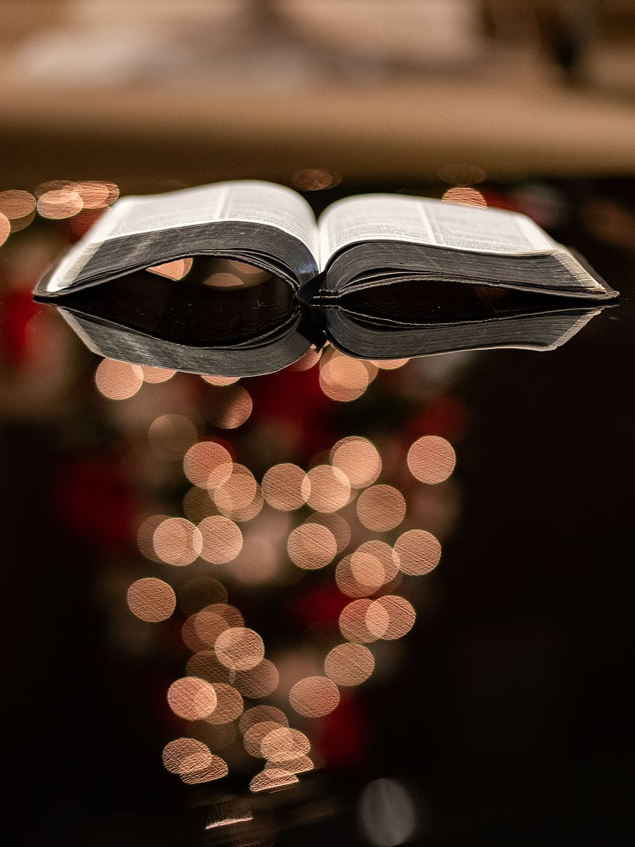 hardbound book, illuminated, christmas, celebration, holiday HD wallpaper