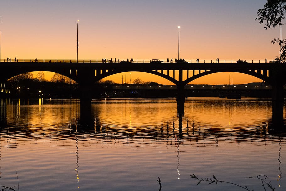 austin, texas, bridge, bats, sunset, river, lake, downtown HD wallpaper