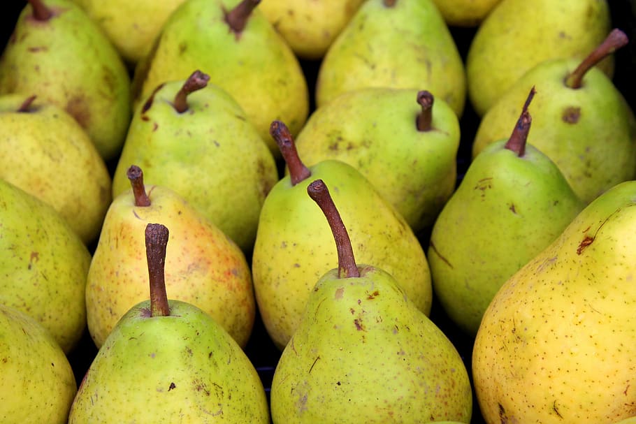 pears, fruit, autumn, food, vitamins, delicious, healthy, fresh HD wallpaper