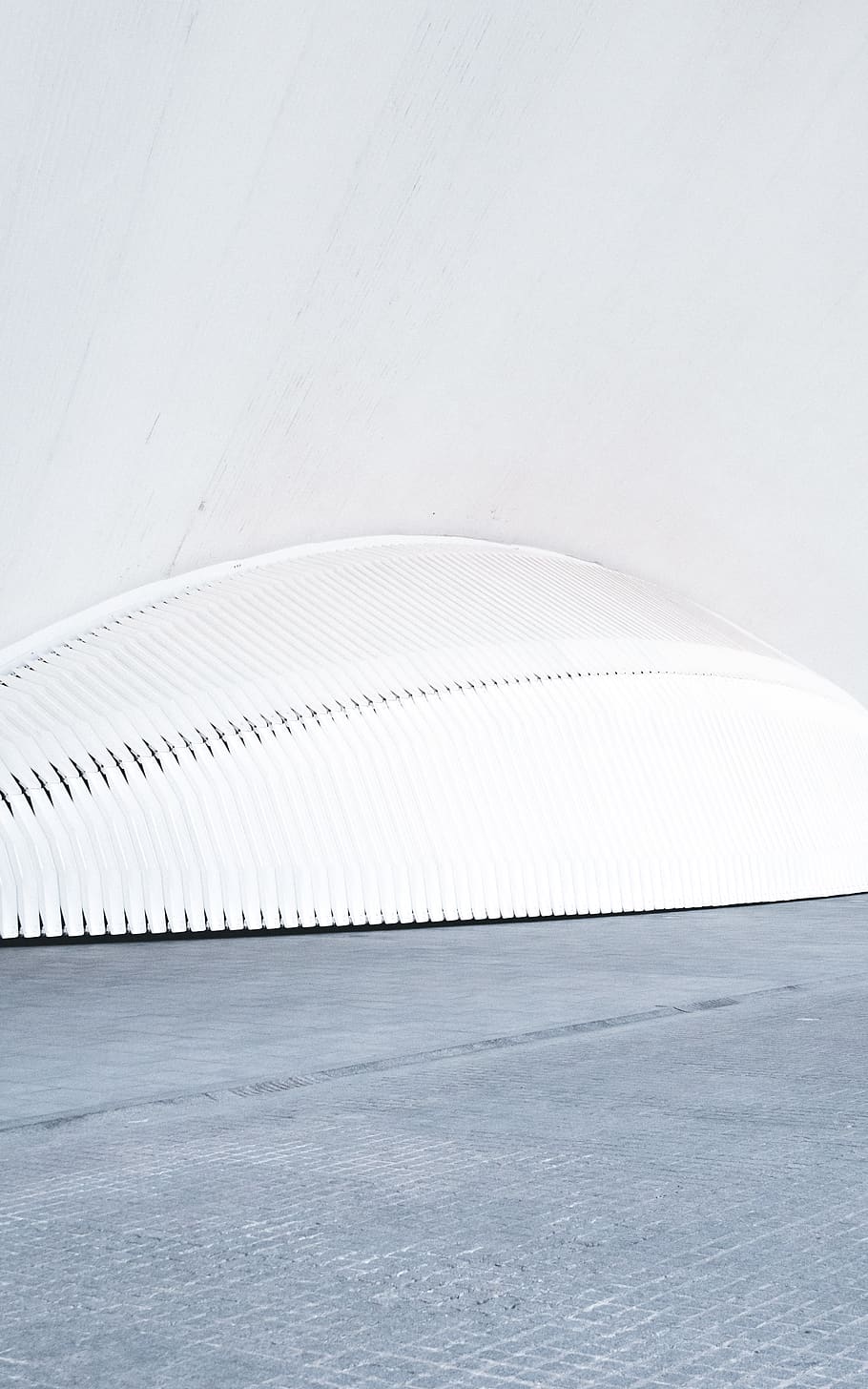 grey textile, hangar, building, ciutat de les arts i les ciències HD wallpaper