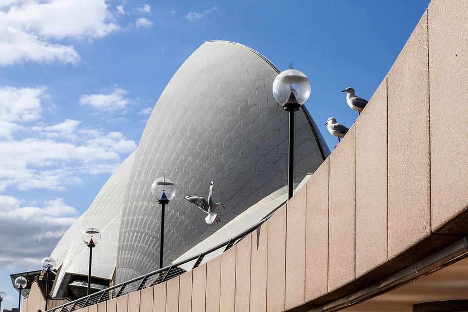 australia, sydney, architecture, building, city, cityscape HD wallpaper