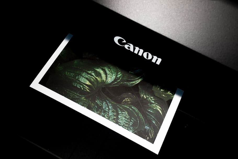 black Canon photo printer, indoors, high angle view, western script HD wallpaper