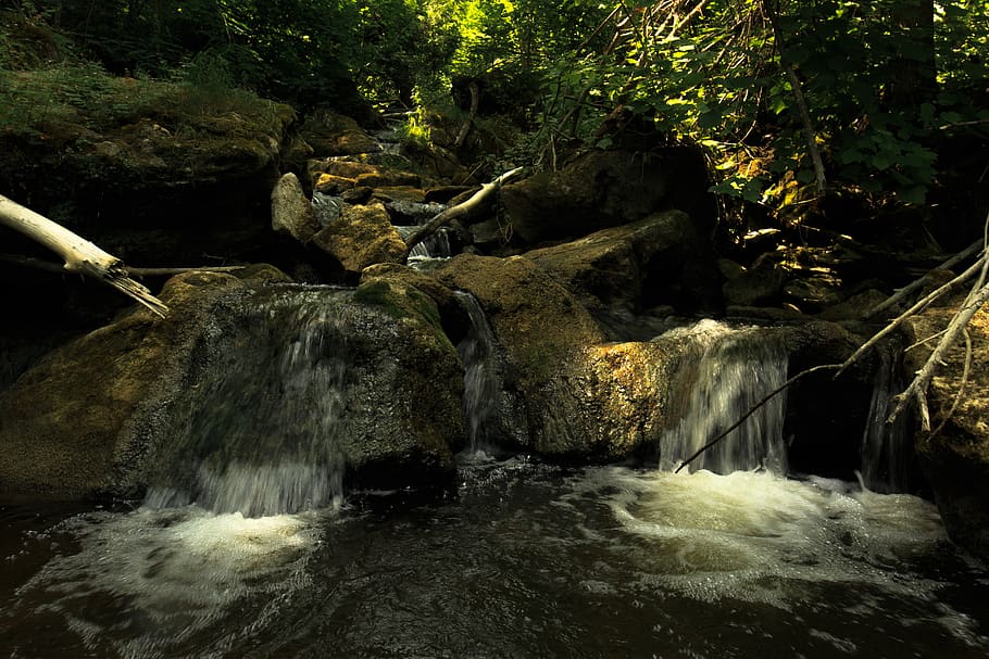 canada, ontario, river, stream, moss, limestone, green, sun HD wallpaper