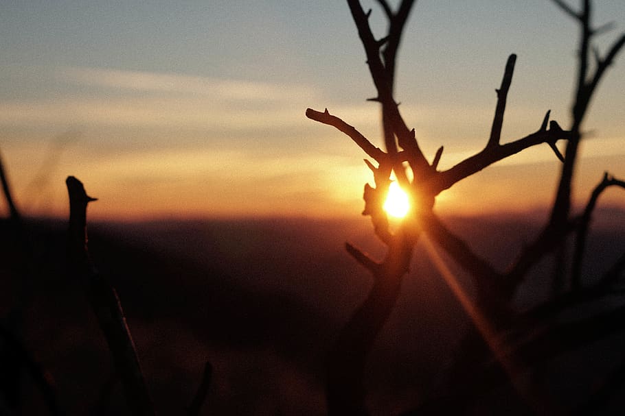 light, flare, sunlight, nature, outdoors, sky, dusk, red sky HD wallpaper